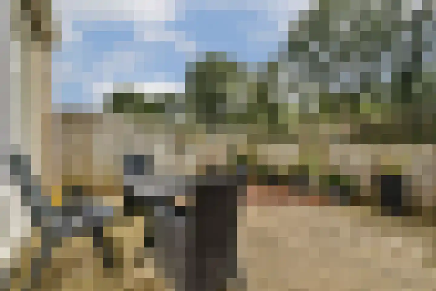 Graan voor Visch 15104 Hoofddorp thumbnail 10