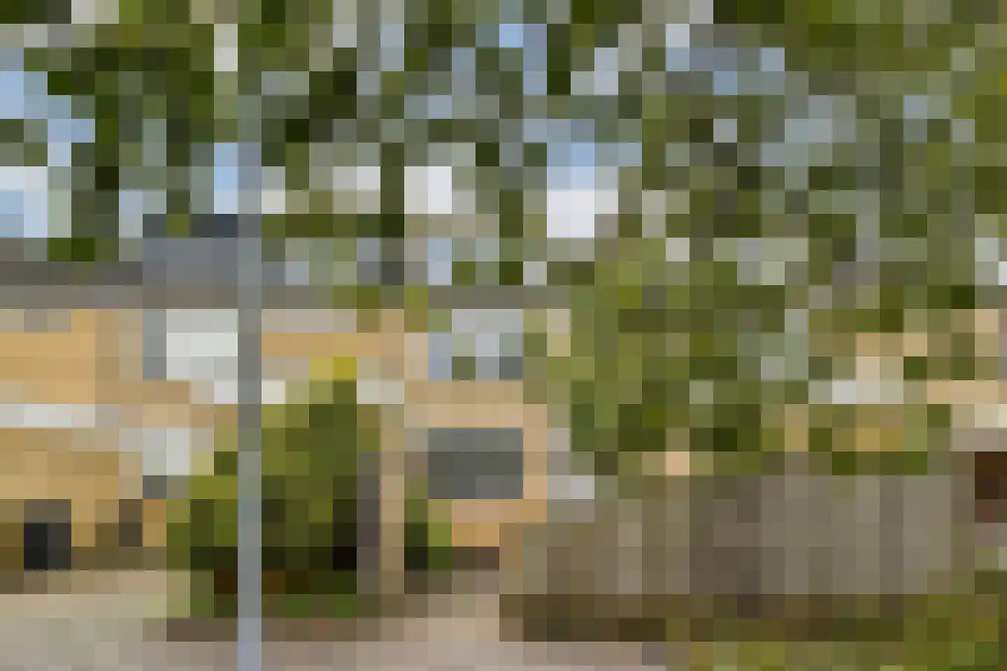Graan voor Visch 15104 Hoofddorp thumbnail 22