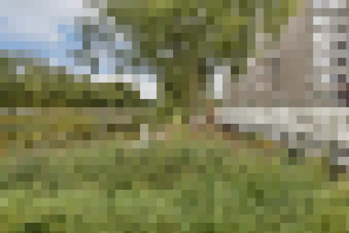 Graan voor Visch 15104 Hoofddorp thumbnail 24