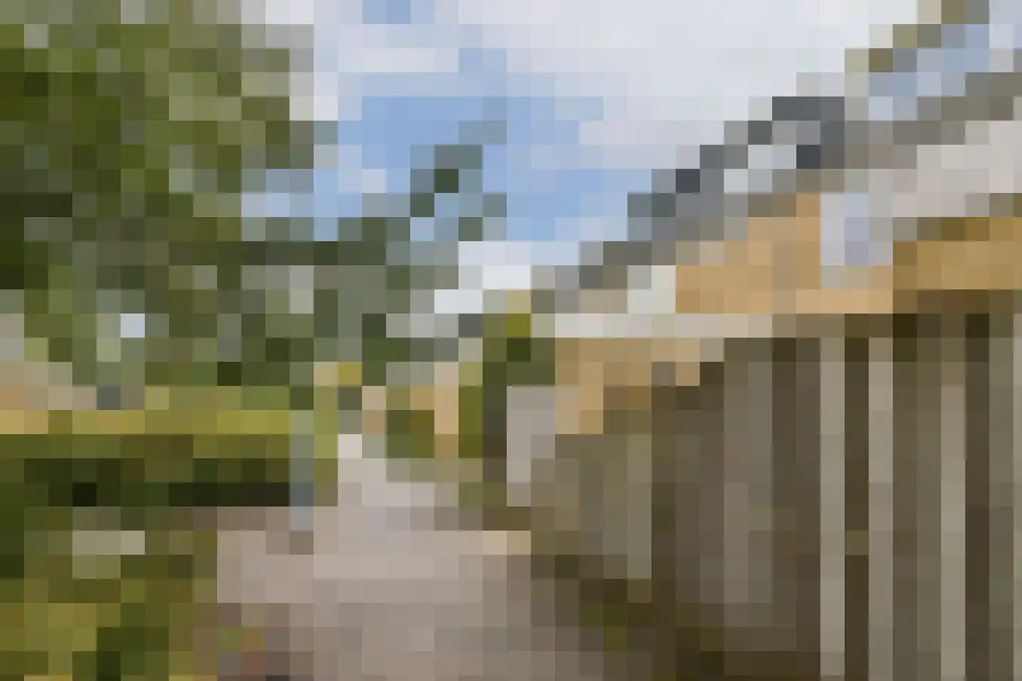 Graan voor Visch 15104 Hoofddorp thumbnail 32