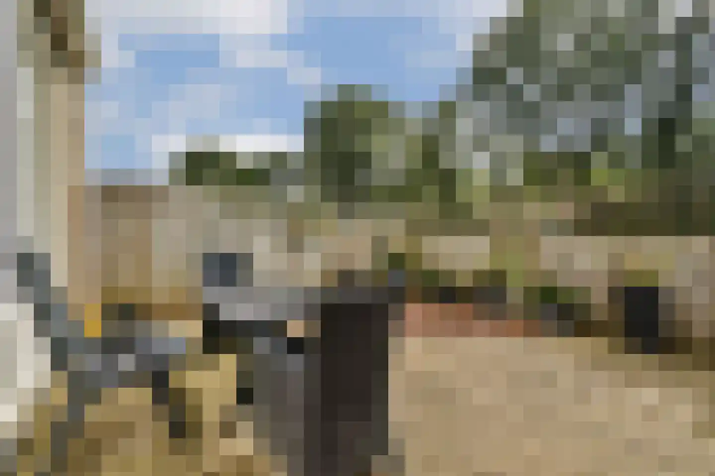 Graan voor Visch 15104 Hoofddorp thumbnail 37