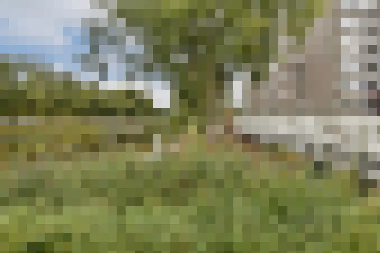 Graan voor Visch 15104 Hoofddorp thumbnail 49