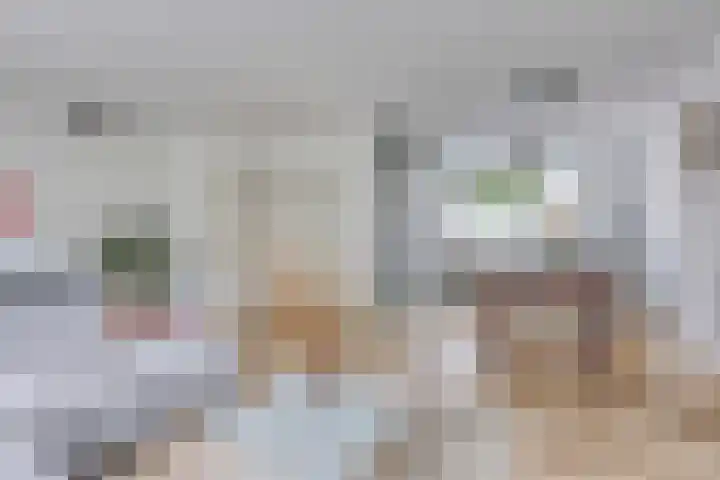 Graan voor Visch 15113 Hoofddorp thumbnail 12