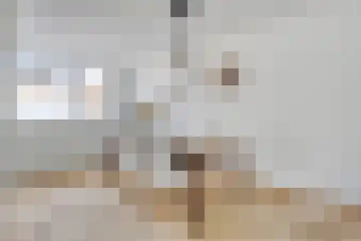 Graan voor Visch 15113 Hoofddorp thumbnail 14