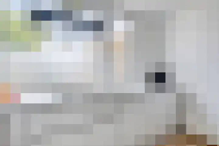Graan voor Visch 15113 Hoofddorp thumbnail 17