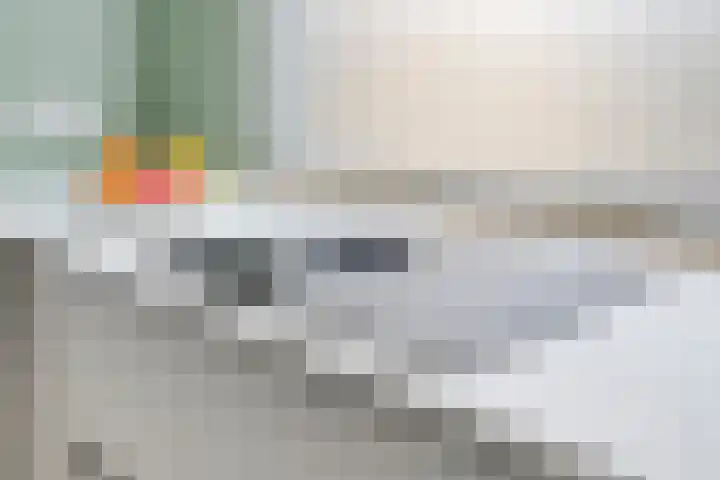 Graan voor Visch 15113 Hoofddorp thumbnail 18