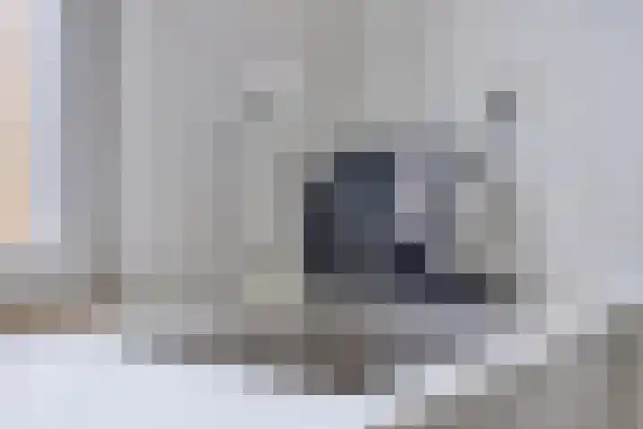 Graan voor Visch 15113 Hoofddorp thumbnail 19