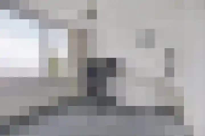 Graan voor Visch 15113 Hoofddorp thumbnail 29