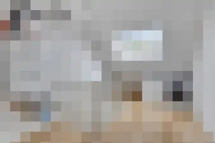 Graan voor Visch 15113 Hoofddorp thumbnail 31