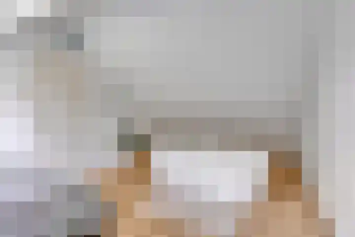 Graan voor Visch 15113 Hoofddorp thumbnail 33