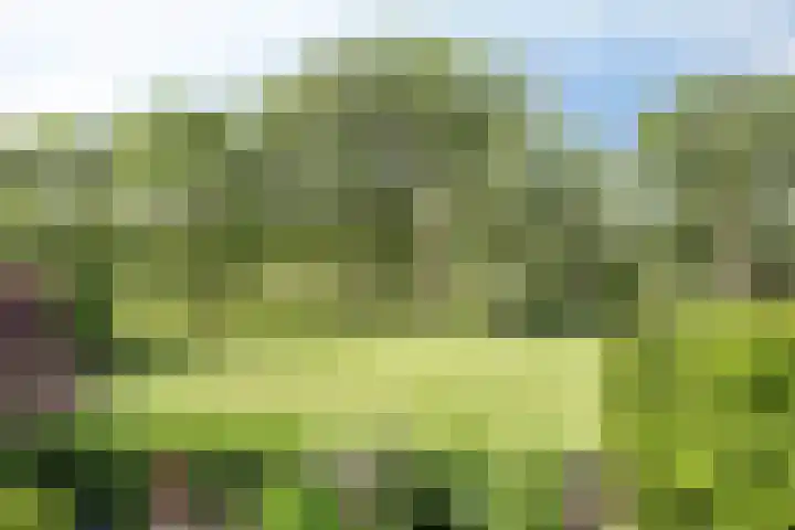 Graan voor Visch 15113 Hoofddorp thumbnail 36