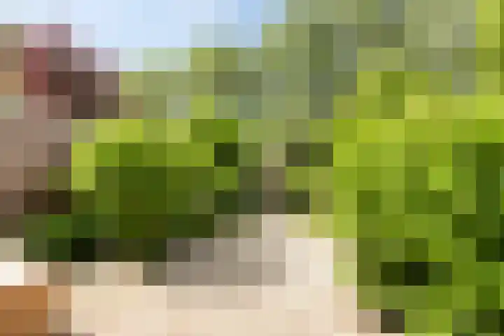 Graan voor Visch 15113 Hoofddorp thumbnail 37