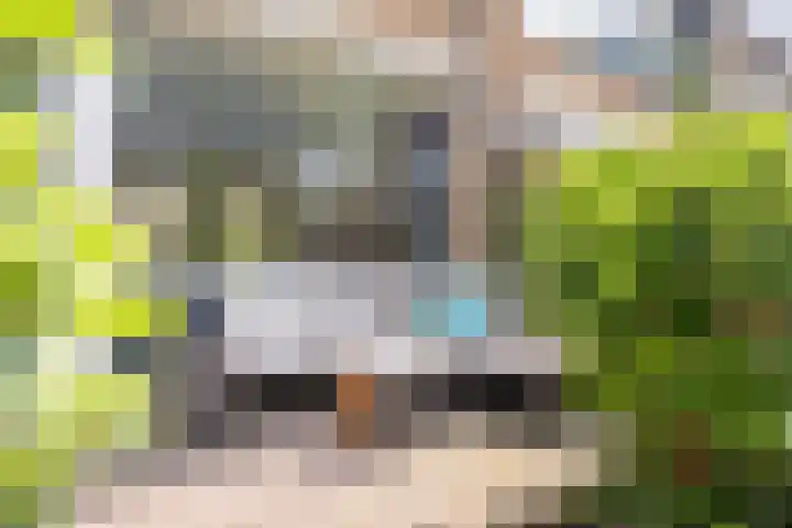 Graan voor Visch 15113 Hoofddorp thumbnail 38