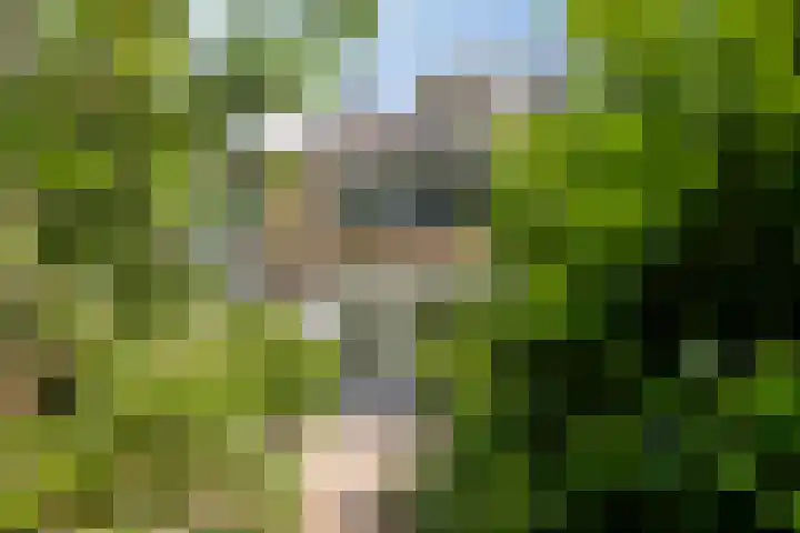 Graan voor Visch 15113 Hoofddorp thumbnail 39