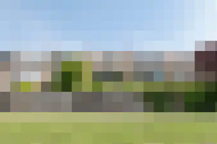 Graan voor Visch 15113 Hoofddorp thumbnail 40
