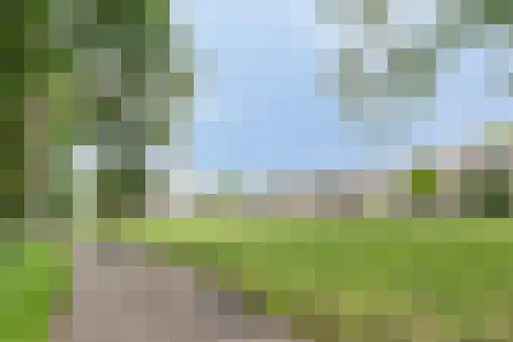Graan voor Visch 15113 Hoofddorp thumbnail 41