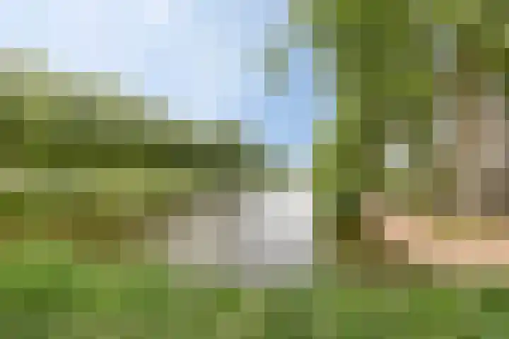 Graan voor Visch 15113 Hoofddorp thumbnail 42