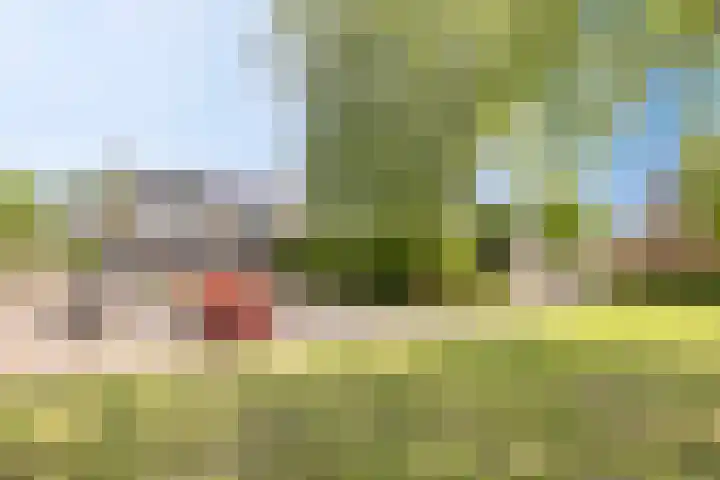 Graan voor Visch 15113 Hoofddorp thumbnail 43