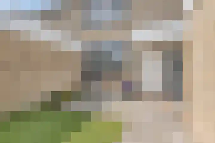 Graan voor Visch 15113 Hoofddorp thumbnail 6