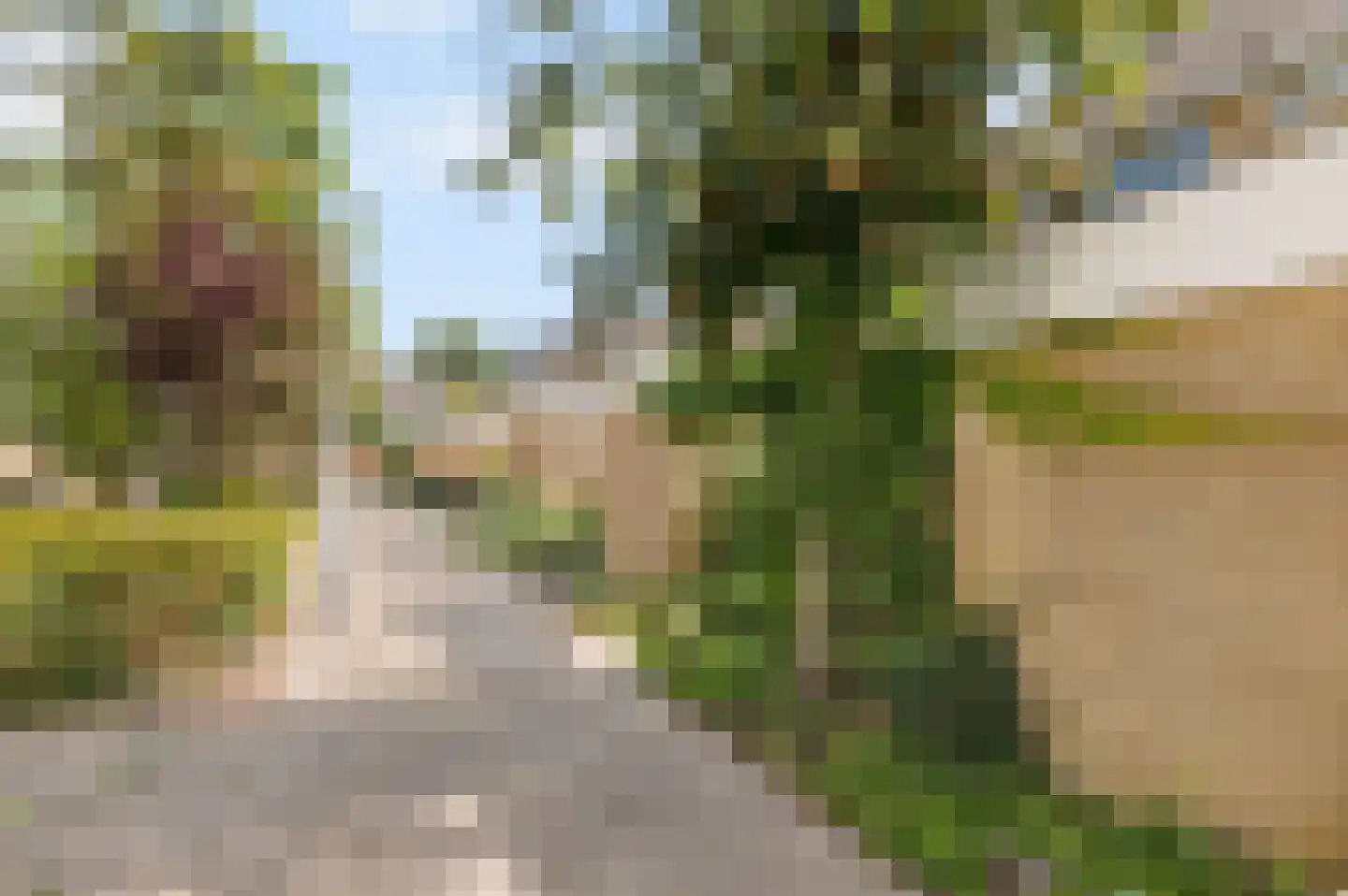 Graan voor Visch 15121 Hoofddorp thumbnail 34
