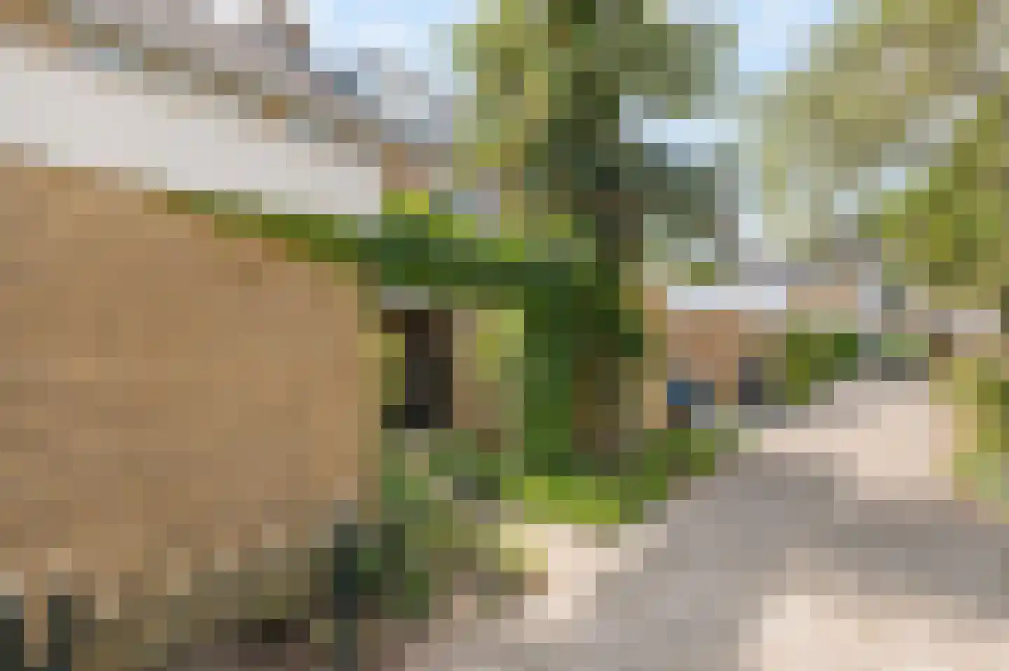 Graan voor Visch 15121 Hoofddorp thumbnail 35