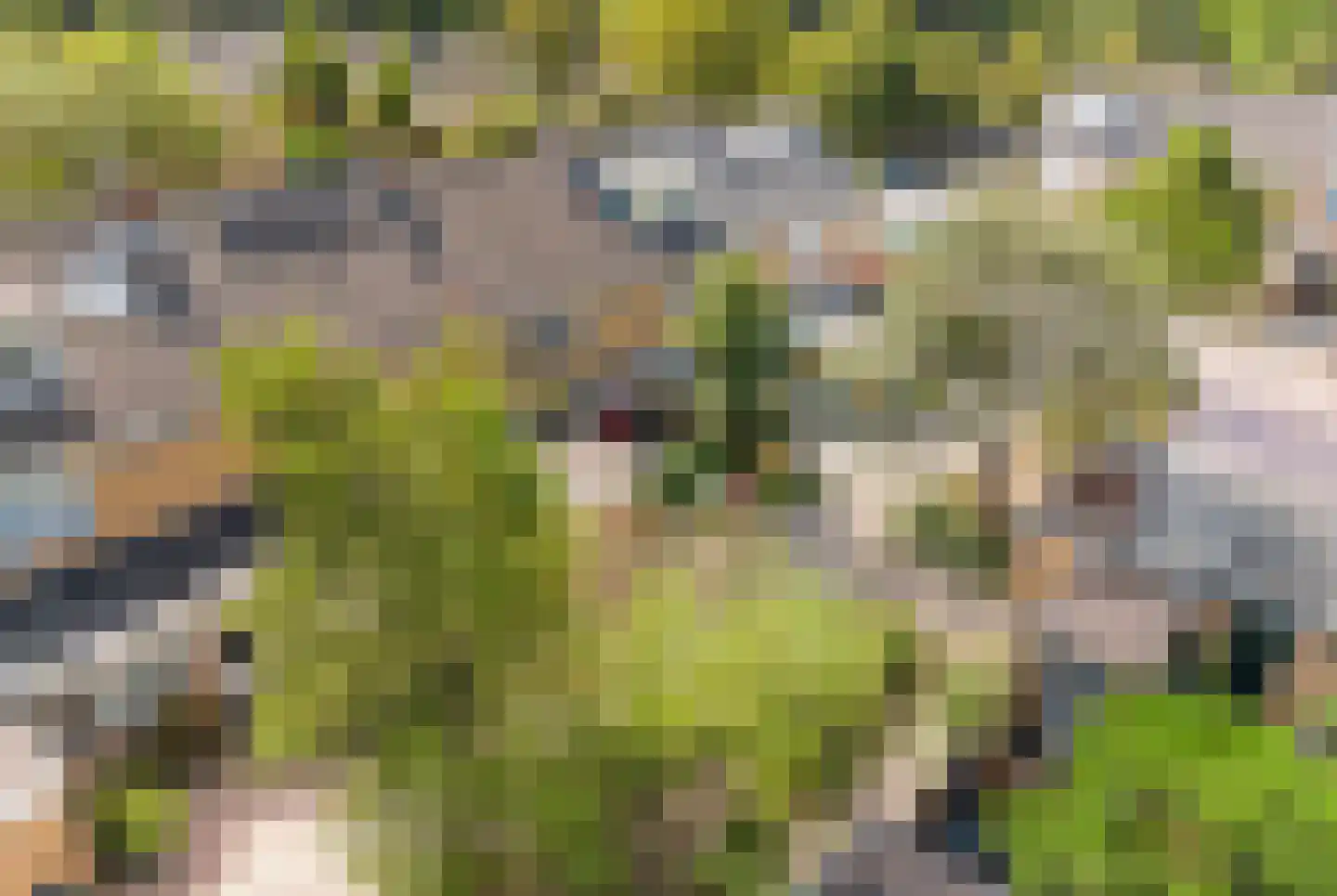 Graan voor Visch 15121 Hoofddorp thumbnail 37