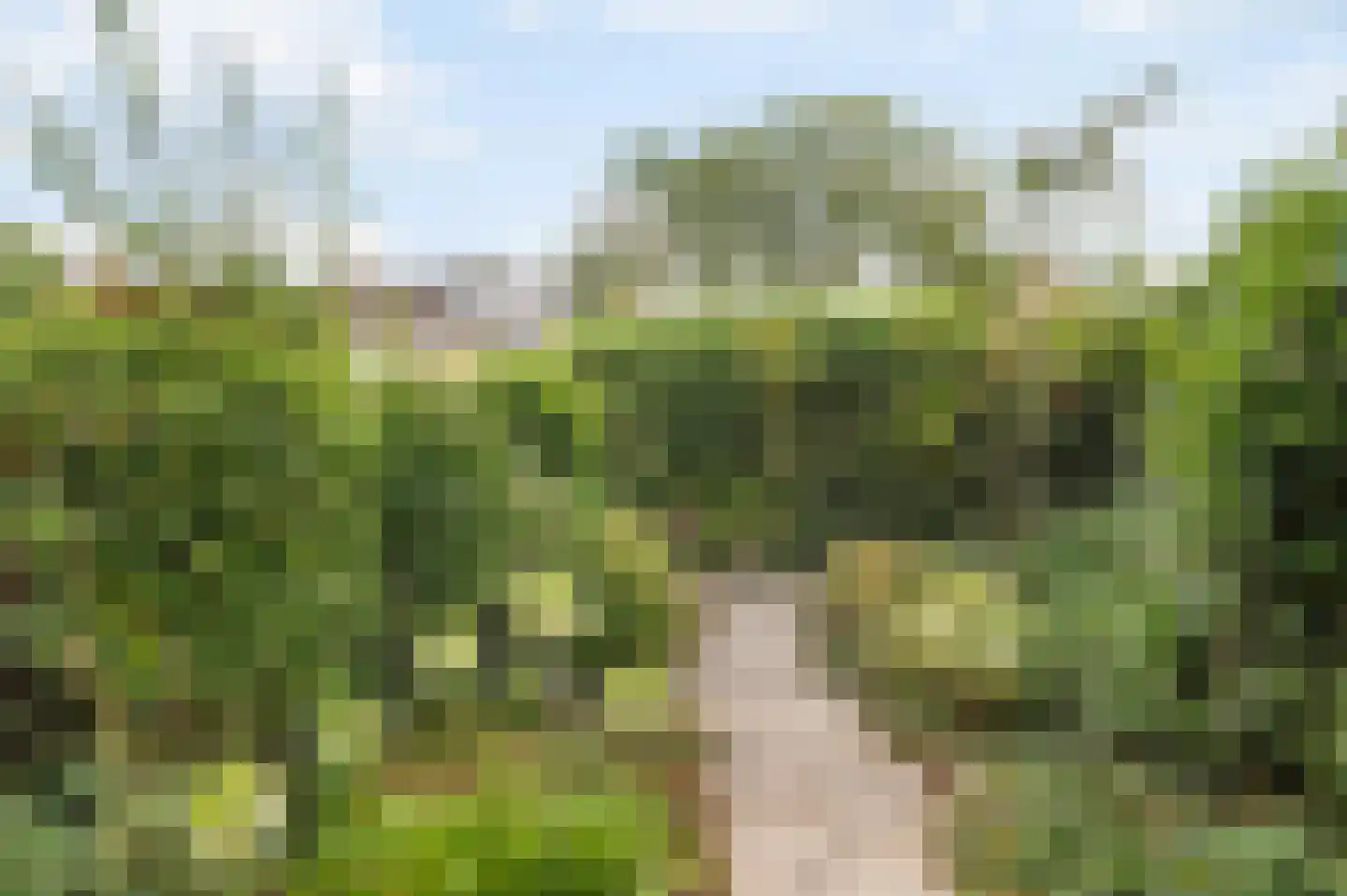 Graan voor Visch 15121 Hoofddorp thumbnail 4