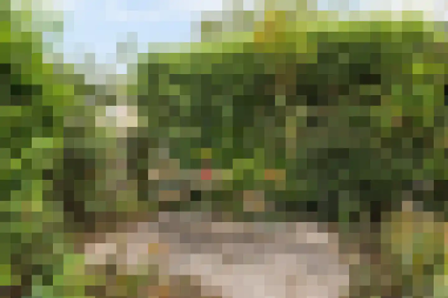 Graan voor Visch 15121 Hoofddorp thumbnail 5