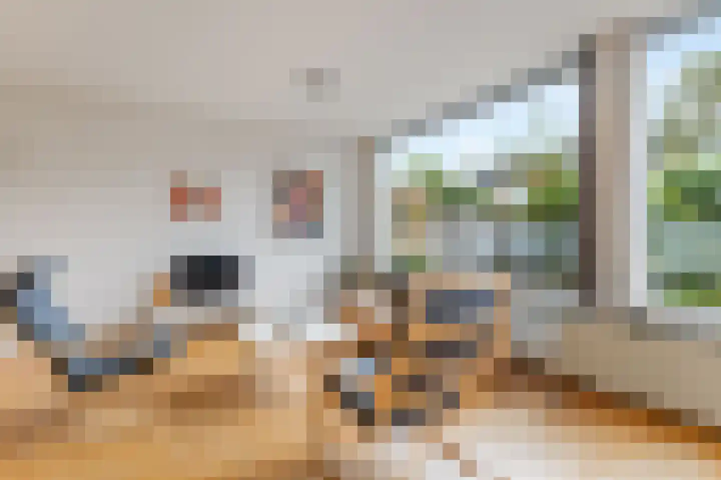 Graan voor Visch 15121 Hoofddorp thumbnail 8