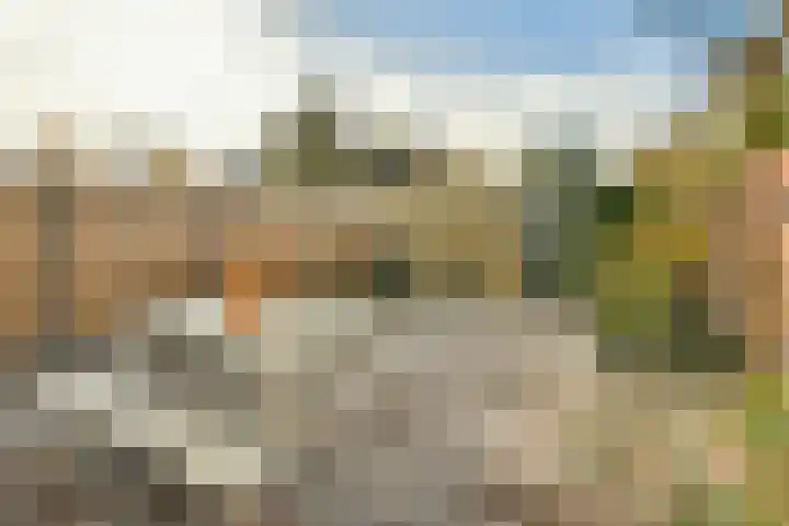 Graan voor Visch 15206 Hoofddorp thumbnail 10