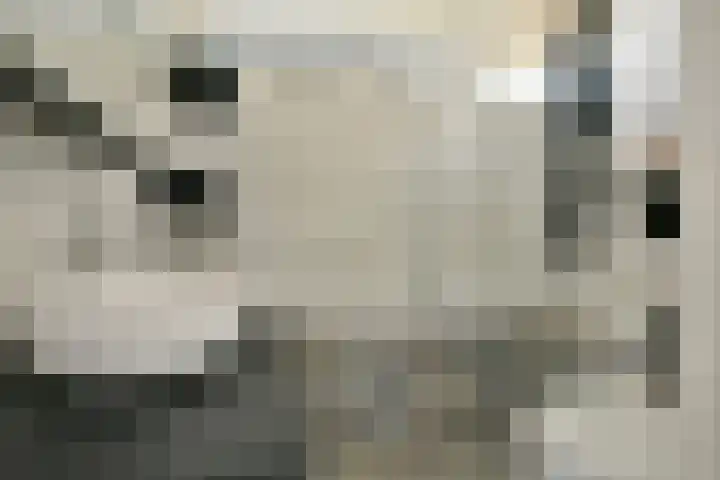 Graan voor Visch 15206 Hoofddorp thumbnail 17