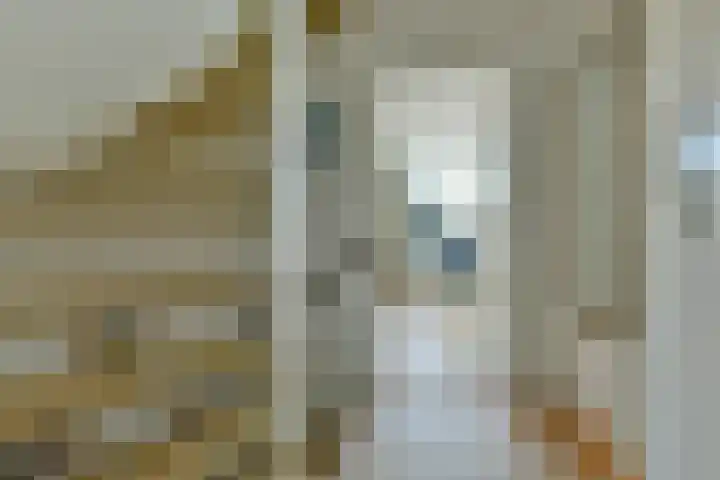 Graan voor Visch 15206 Hoofddorp thumbnail 18