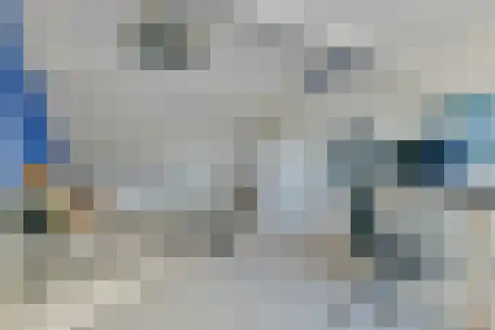 Graan voor Visch 15206 Hoofddorp thumbnail 20