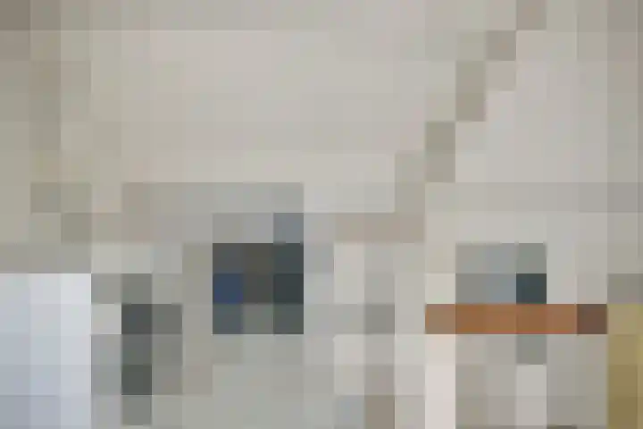 Graan voor Visch 15206 Hoofddorp thumbnail 22