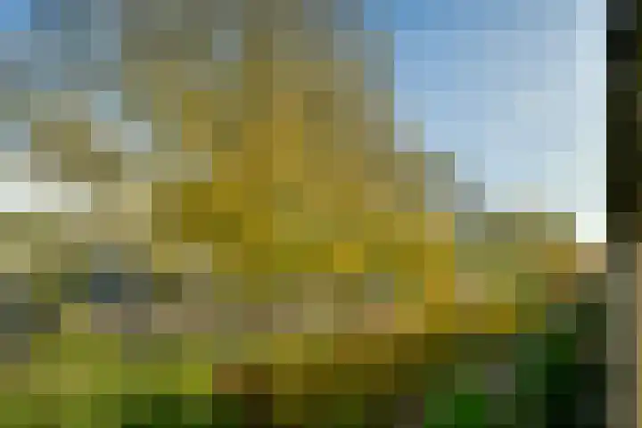 Graan voor Visch 15206 Hoofddorp thumbnail 23