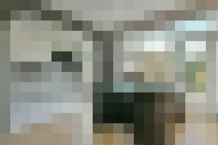 Graan voor Visch 15206 Hoofddorp thumbnail 6