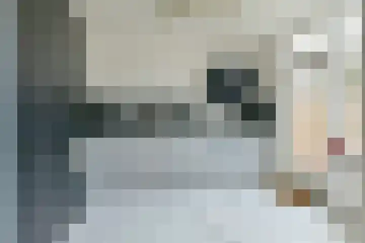 Graan voor Visch 15206 Hoofddorp thumbnail 7