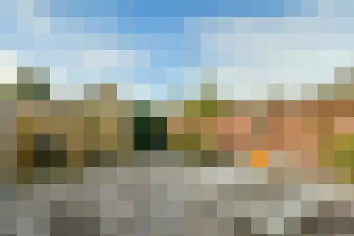 Graan voor Visch 15206 Hoofddorp thumbnail 9