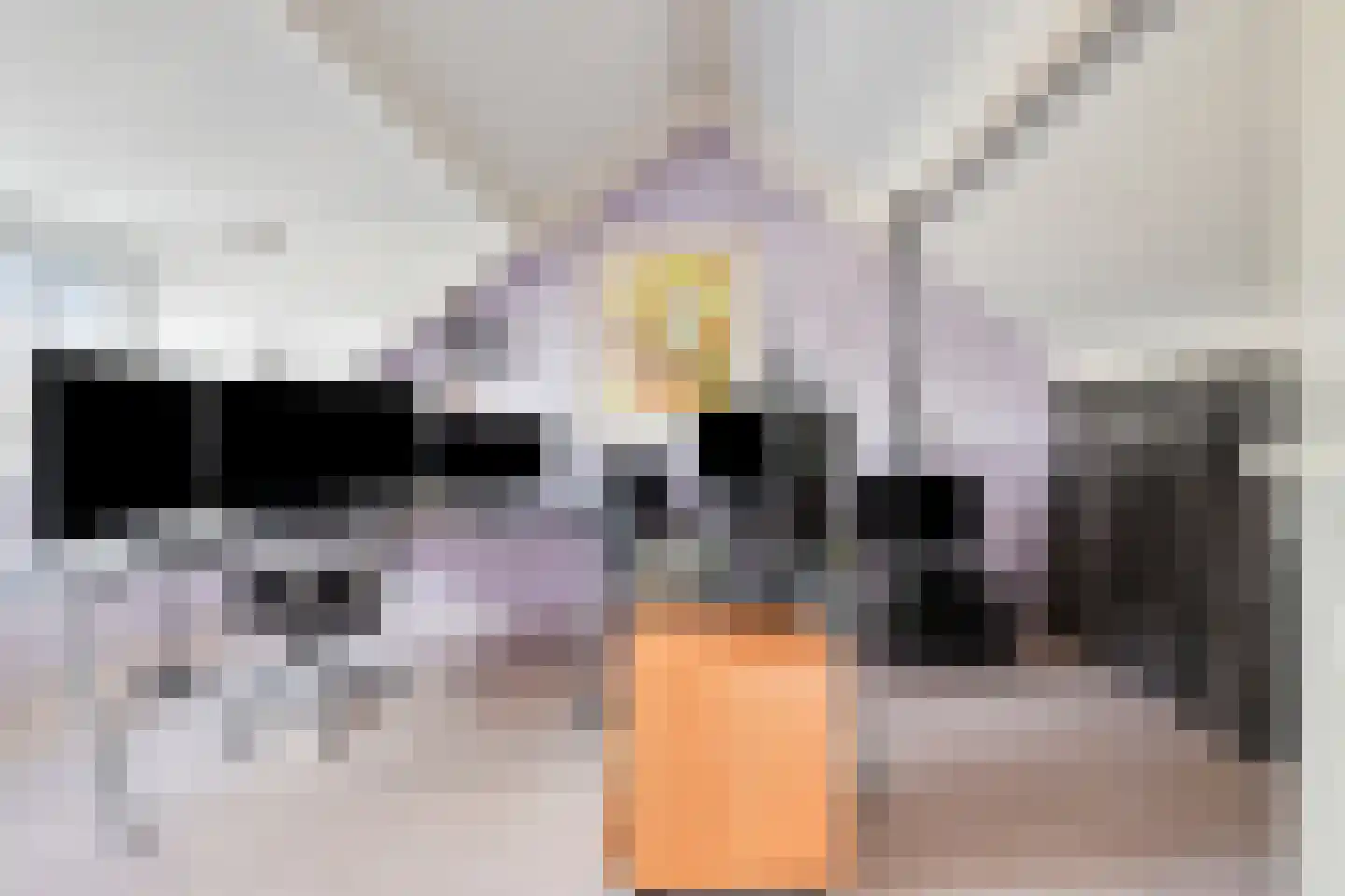Graan voor Visch 15212 Hoofddorp thumbnail 17