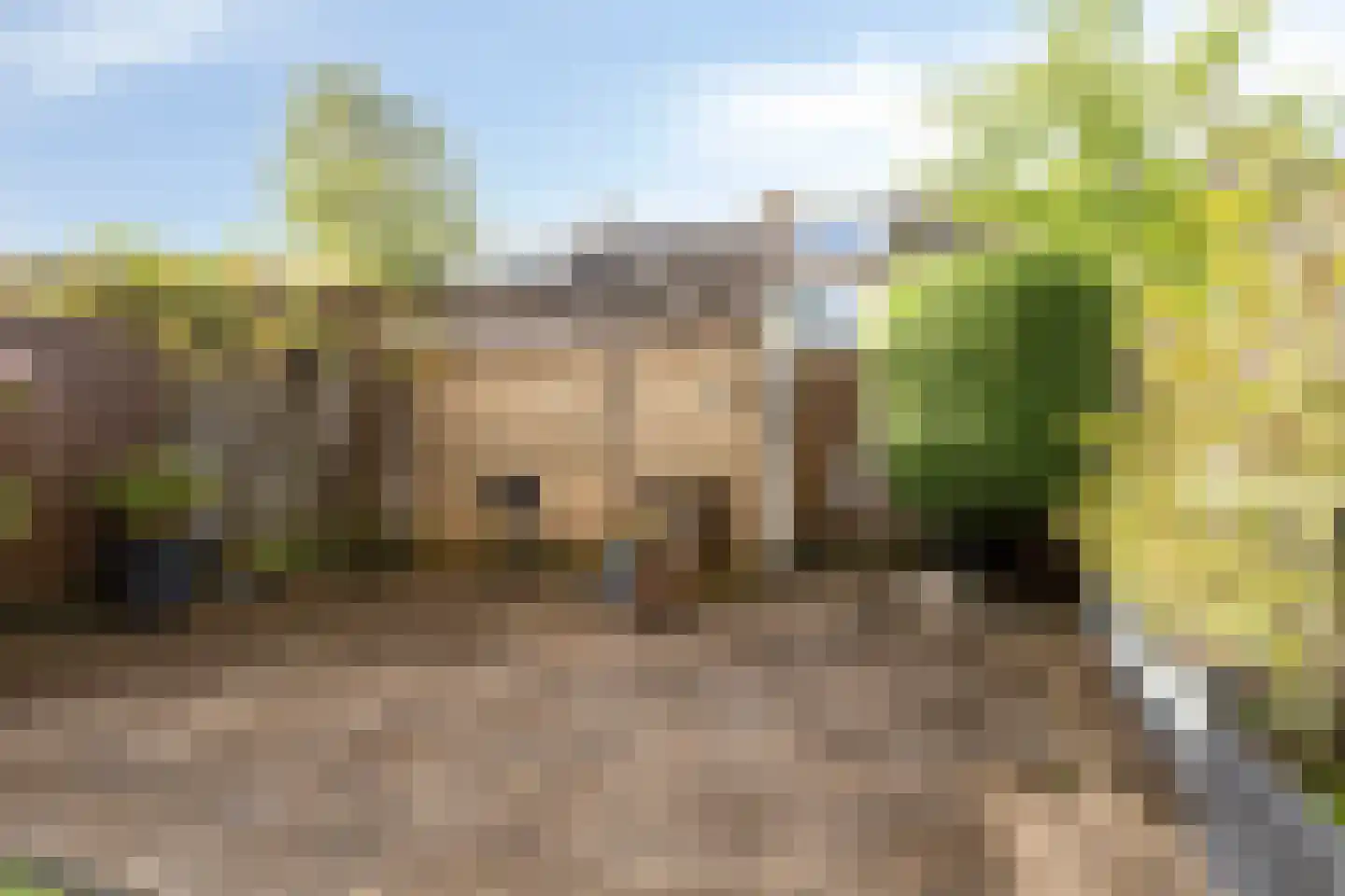 Graan voor Visch 15212 Hoofddorp thumbnail 19