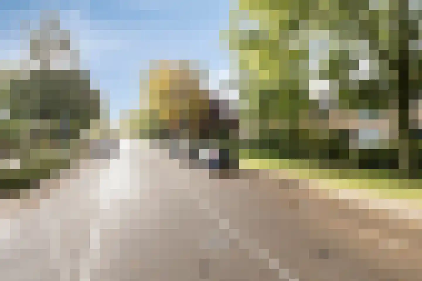 Graan voor Visch 15212 Hoofddorp thumbnail 23