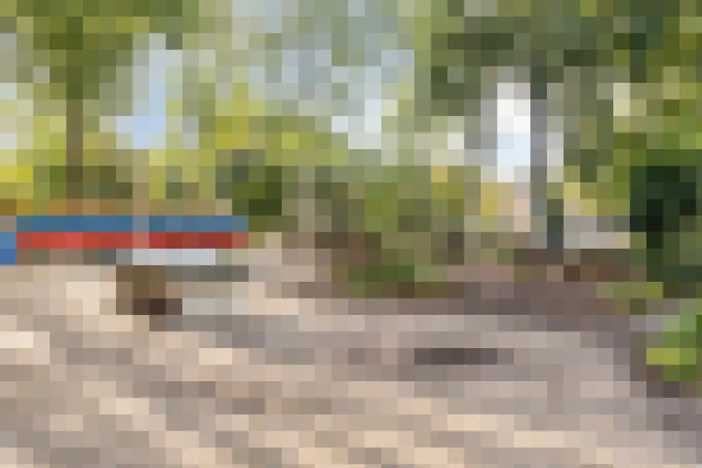 Graan voor Visch 15212 Hoofddorp thumbnail 24