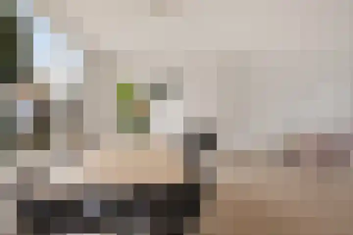 Graan voor Visch 15223 Hoofddorp thumbnail 10