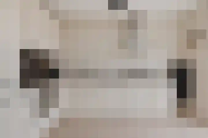 Graan voor Visch 15223 Hoofddorp thumbnail 13