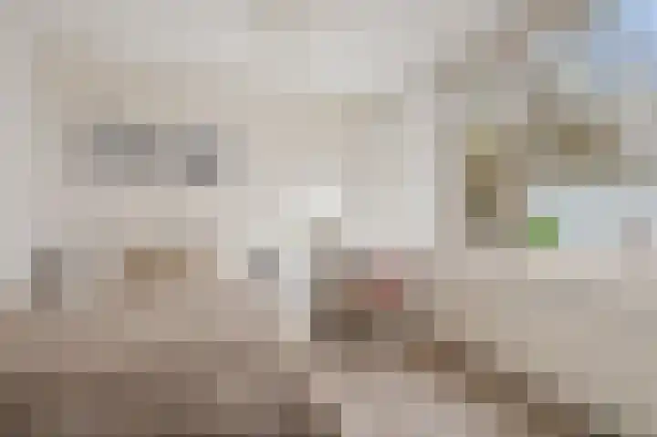 Graan voor Visch 15223 Hoofddorp thumbnail 17