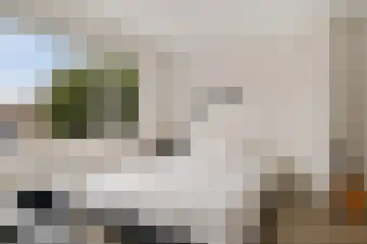 Graan voor Visch 15223 Hoofddorp thumbnail 23