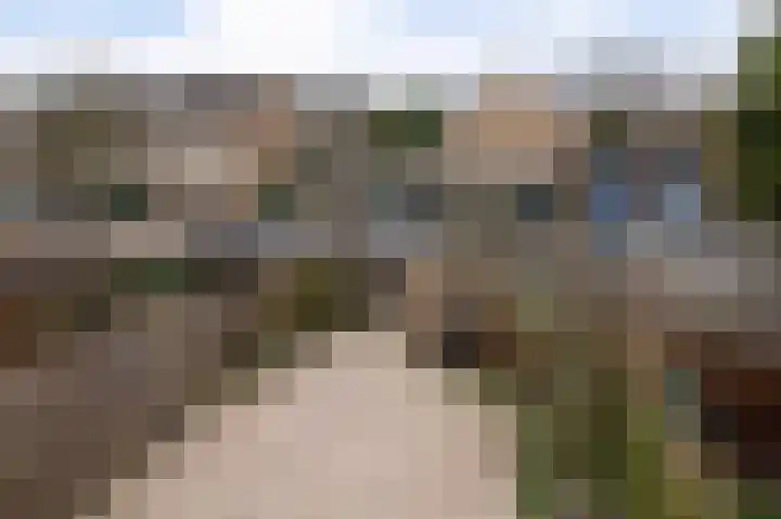 Graan voor Visch 15223 Hoofddorp thumbnail 35