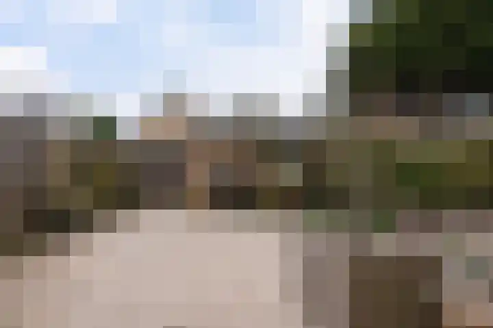 Graan voor Visch 15223 Hoofddorp thumbnail 37