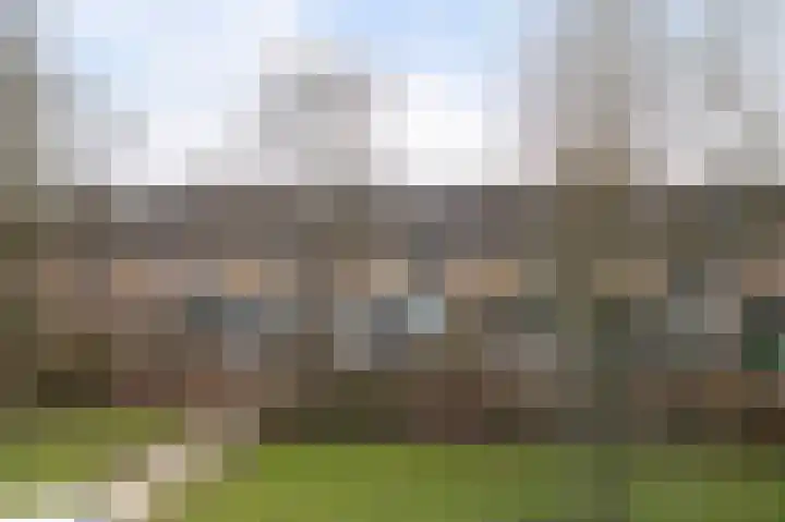 Graan voor Visch 15223 Hoofddorp thumbnail 39