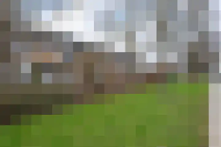 Graan voor Visch 15223 Hoofddorp thumbnail 40